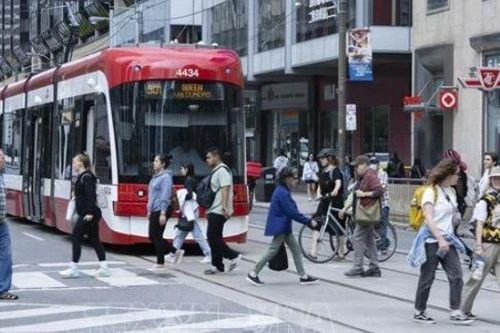 Thế hệ millennials 'thống trị' dân số Canada