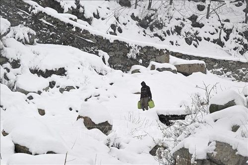 Ấn Độ: Tuyết lở tại Kashmir làm nhiều người mắc kẹt