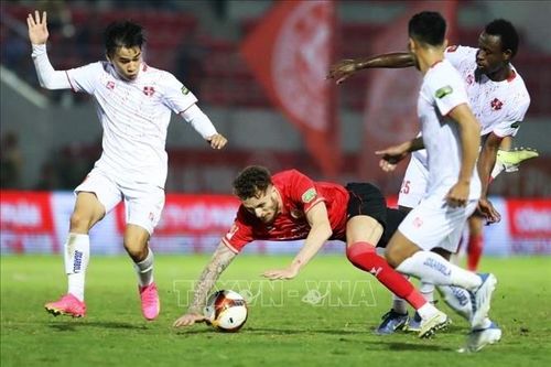 Lịch thi đấu V-League cùng các giải bóng đá chuyên nghiệp quốc gia 2024 - 2025