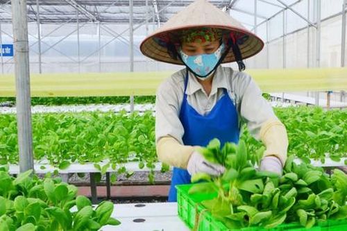 Ngoại giao kinh tế 2024 tập trung vào chuyển đổi xanh
