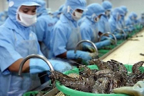 Xuất khẩu tôm dự báo sẽ đạt hơn 4 tỷ USD trong năm 2024