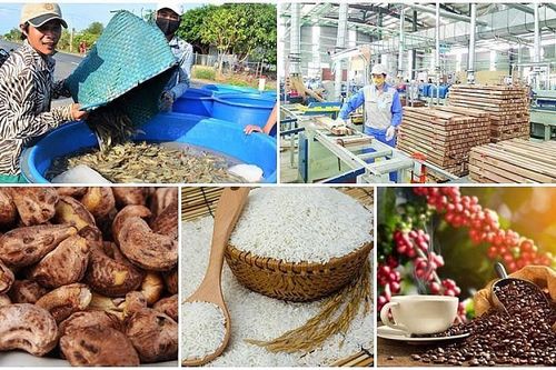 Tăng lòng tin của các nhà bán lẻ EU với nông sản Việt