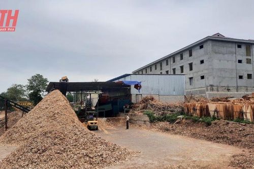 Đình chỉ hoạt động, xử lý dứt điểm các cơ sở sản xuất vi phạm sau phản ánh của Báo Thanh Hóa