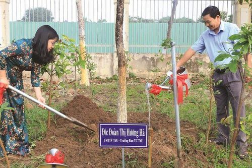 Vun trồng cho tương lai