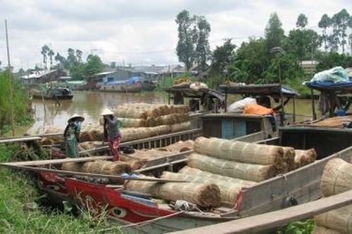 Đi tìm ghe chiếu Cà Mau