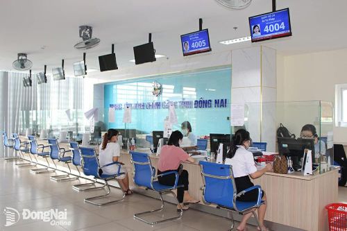 Khẩn trương triển khai các nhiệm vụ cải cách thủ tục hành chính, cắt giảm quy định kinh doanh