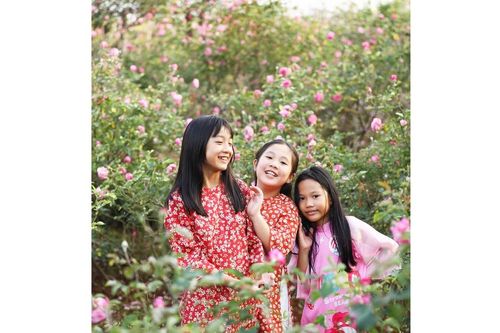 Hồi sinh những nhành hoa