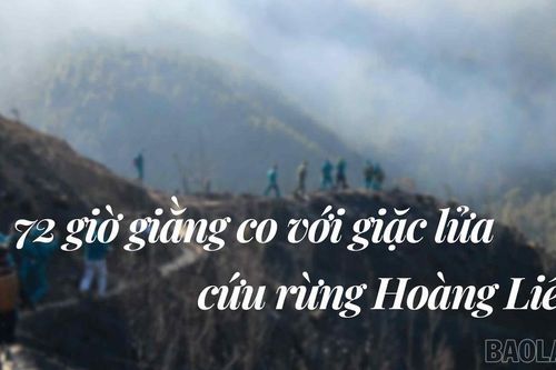 72 giờ giằng co với giặc lửa, cứu rừng Hoàng Liên