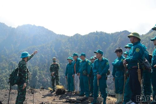 Rút toàn bộ lực lượng chữa cháy rừng và bàn giao hiện trạng rừng cho Vườn Quốc gia Hoàng Liên.