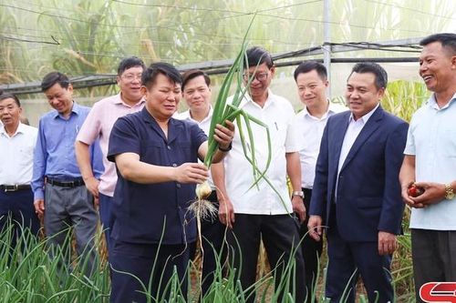 Đồng chí Phó Bí thư Thường trực Tỉnh ủy thăm, nắm tình hình hoạt động sản xuất một số HTX, doanh nghiệp trên địa bàn huyện Mộc Châu