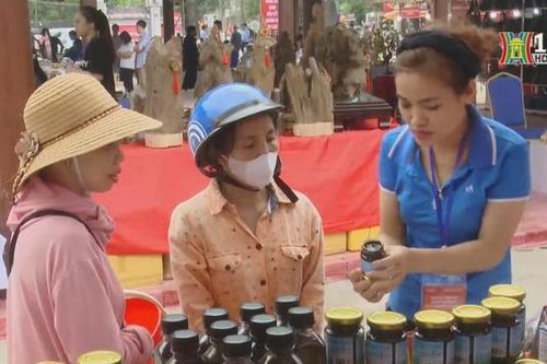 Hơn 100 gian hàng tại Hội chợ quảng bá sản phẩm OCOP