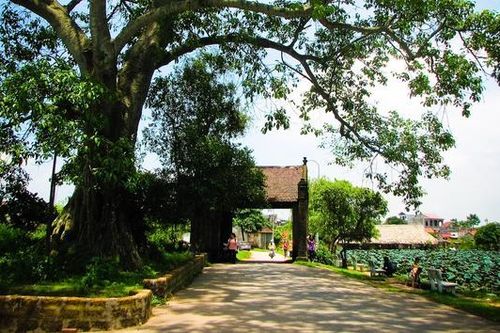 Du lịch làng Việt cổ nghìn năm tuổi