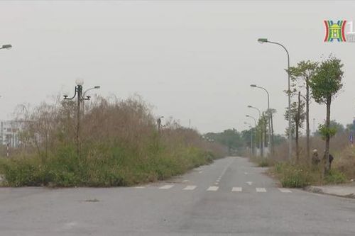 Kế hoạch giao đất dịch vụ cho người dân Hà Nội