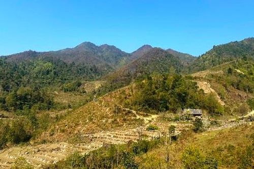 Cháy rừng ở Sa Pa: Hoàn toàn dập tắt các điểm cháy trong Vườn quốc gia Hoàng Liên