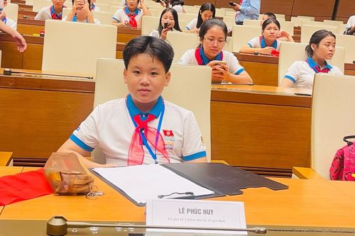 Nam sinh lớp 8 năng nổ tại 'Quốc hội trẻ em' và sáng kiến đặc biệt giữ gìn tiếng Việt
