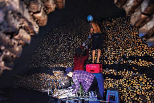 Nơi cửa lò