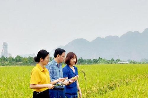Đột phá từ tư duy phát triển