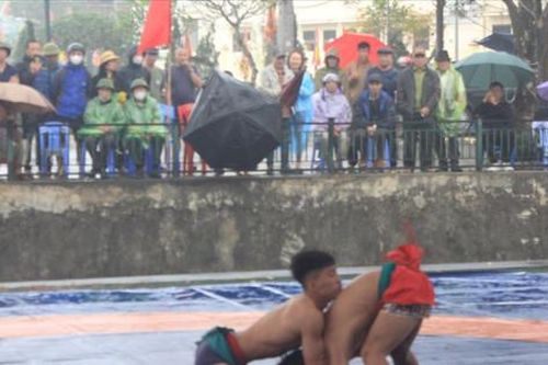 Hơn 100 VĐV dự Giải vô địch Vật tự do, dân tộc truyền thống