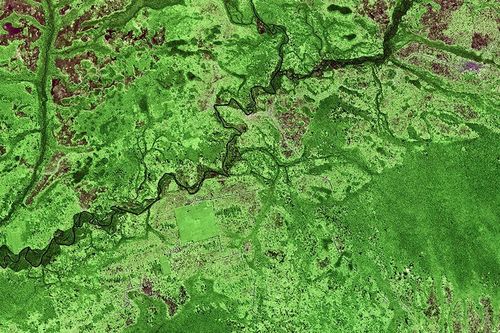 Đa dạng sinh học nhìn từ không gian