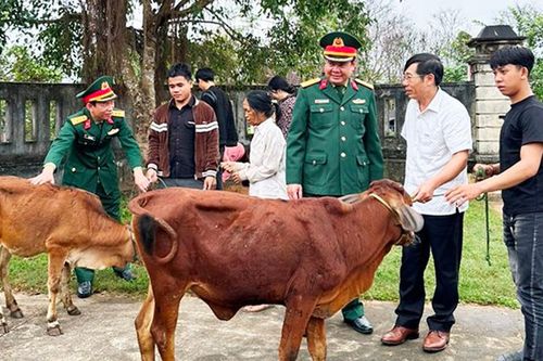 Quảng Bình: Trao tặng bò cho gia đình quân nhân khó khăn có thanh niên nhập ngũ