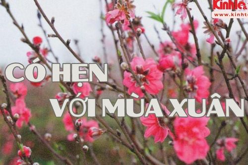 Podcast Tản văn: Có hẹn với mùa Xuân
