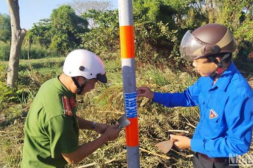 Đồng loạt ra quân bóc, gỡ quảng cáo sai quy định tại 312 xã, phường tại Thành phố Hồ Chí Minh