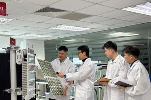 Viettel và sứ mệnh 'sếu đầu đàn'