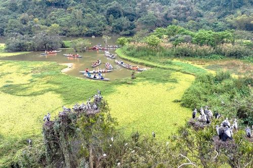 Ghé thăm Khu du lịch sinh thái Thung Nham – xứ sở của các loài chim tại Ninh Bình