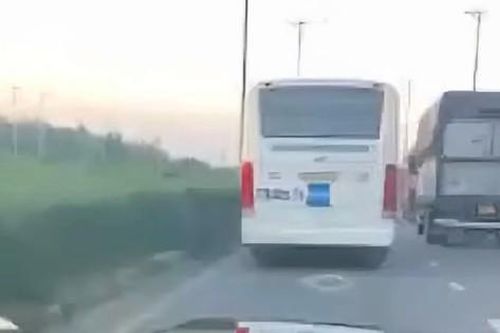 Chủ tịch Bình Định gửi clip xe tập lái có dấu hiệu vi phạm cho Giám đốc Sở GTVT