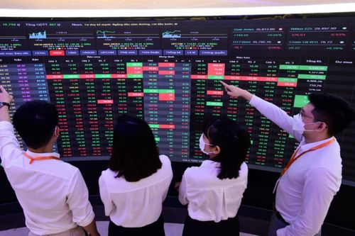 Chỉ số thị trường chứng khoán có thể tăng trưởng 19% trong năm 2024