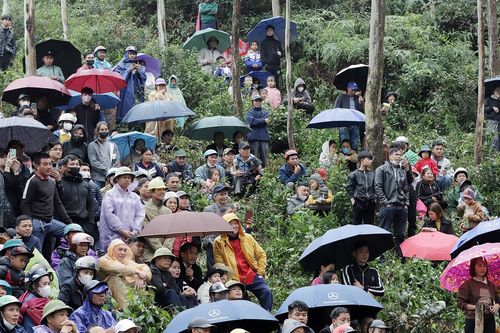 Nghìn du khách đội mưa lên núi, chen chân hò reo cổ vũ các đô vật tranh tài