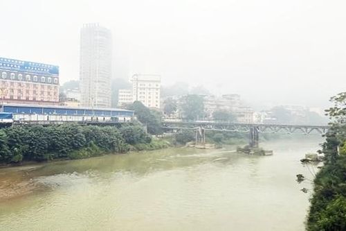 Hồng tươi xuân biên cương