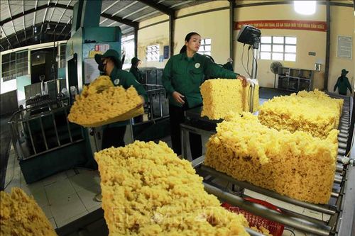 Gia Lai: Nông sản chủ lực xuất khẩu bứt phá đầu năm