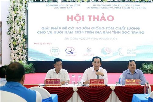 Bàn giải pháp nâng cao chất lượng nguồn tôm giống