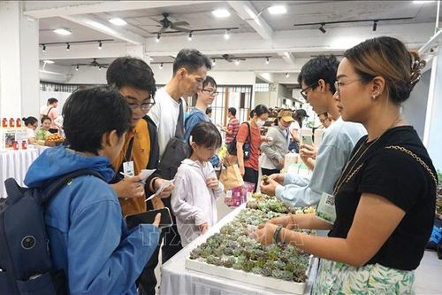 Ngày hội sống xanh cùng Gen G, chung tay giảm phát thải CO2