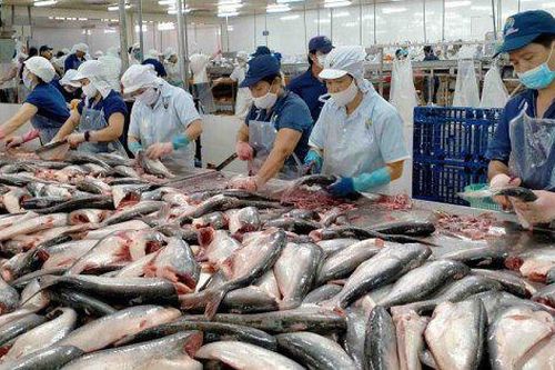 Yếu tố nào giúp doanh thu tháng 1 của Vĩnh Hoàn gấp đôi cùng kỳ