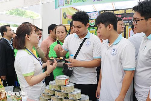 Tìm xung lực mới cho khởi nghiệp