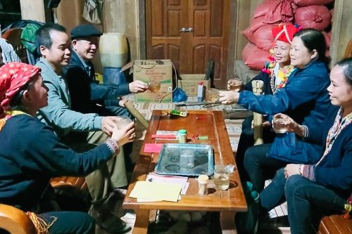 Chè cổ thụ của người Dao Nậm Miện