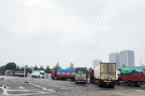 Tổ chức phân luồng phương tiện vận chuyển hàng nhập khẩu qua Cửa khẩu đường bộ Kim Thành