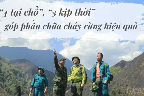 '4 tại chỗ', '3 kịp thời' góp phần chữa cháy rừng hiệu quả
