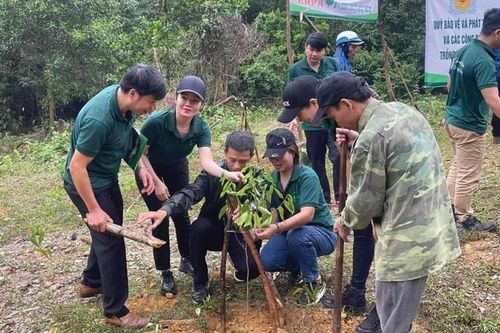 Chi trả gần 35 tỷ đồng từ nguồn ERPA