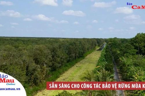 Sẵn sàng cho công tác bảo vệ rừng mùa khô