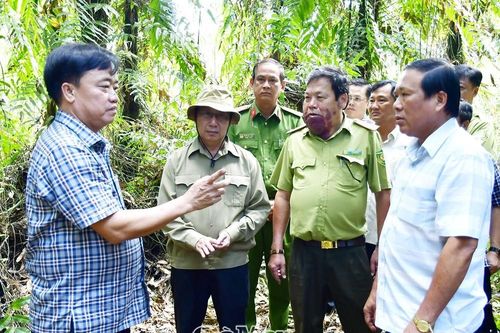 Quyết tâm giữ rừng U Minh Hạ bình yên qua mùa khô hạn