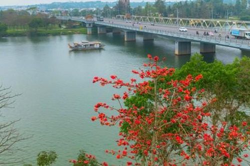 Cố đô Huế đẹp nao lòng mùa hoa gạo nở