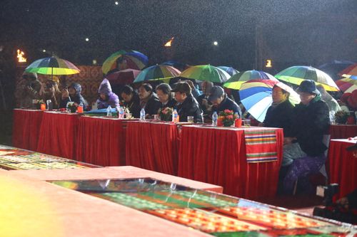 Mưa tầm tã, Ngày thơ Việt Nam thưa thớt người tham dự
