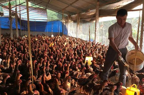 Cán bộ Mặt trận trên 'tuyến đầu'