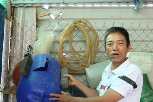 Thả câu vàng - nghề 'săn' cá giá trị cao của ngư dân ven biển