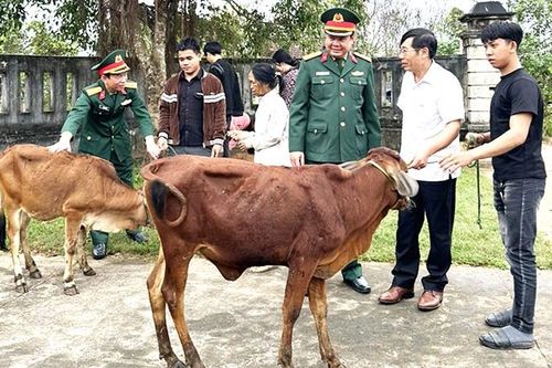 Quảng Bình: Hỗ trợ sinh kế gia đình thanh niên nhập ngũ có hoàn cảnh khó khăn