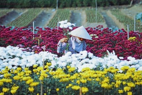 Thoáng Xuân đất Việt