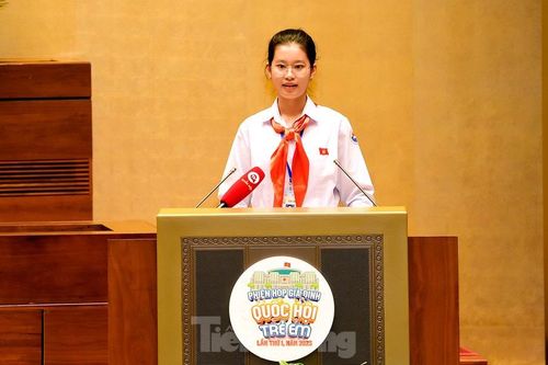 Nữ sinh là 'Chủ tịch Quốc hội trẻ em' được đề cử Gương mặt trẻ VN tiêu biểu